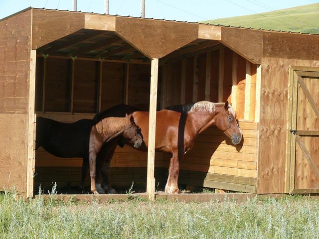 10452389_10204504728084314_8428289800965730935_n