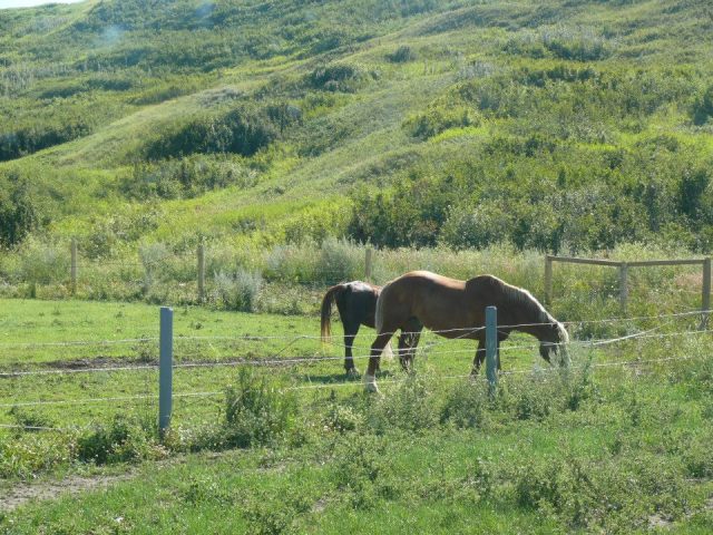 10565117_10204504717204042_3519194841643243638_n