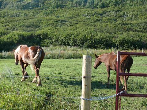 1743566_10204504731364396_6399363712133663204_n