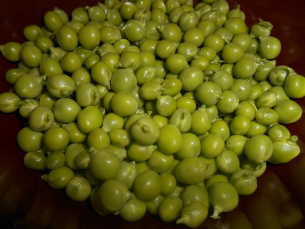 2013-01-01 2339 (600x450)