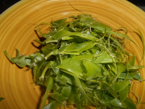 2013-01-01 2341 (600x450)