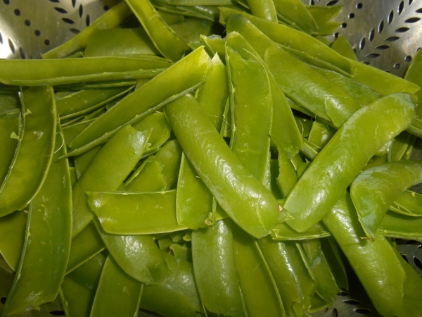 2013-01-01 2342 (600x450)