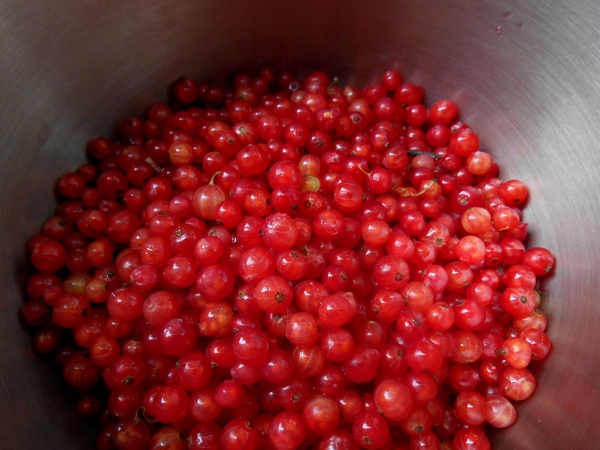 2013-01-01 2351 (600x450) (2)