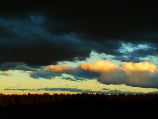 2013-01-01 2420 (600x450)