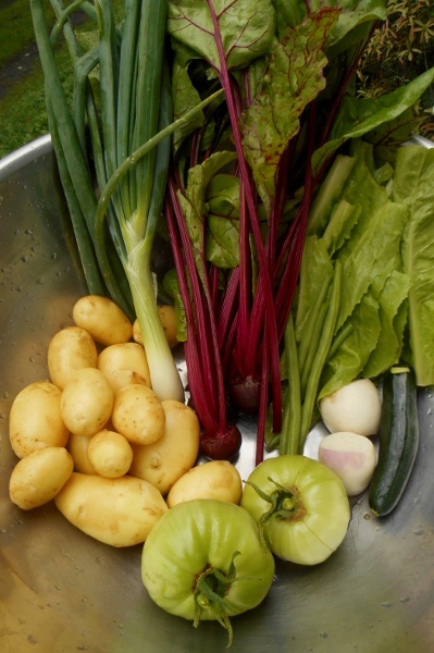 2013-01-01 2445 (399x600)