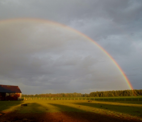 2013-01-01 2498 (500x430)