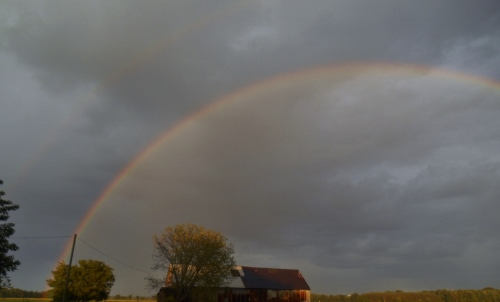 2013-01-01 2499 (500x302)