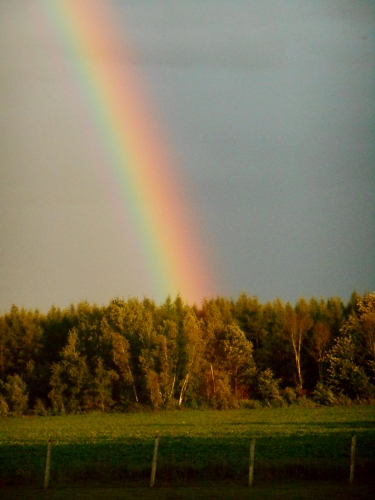 2013-01-01 2500 (375x500)