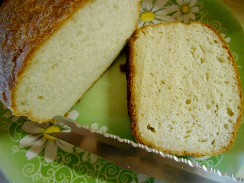 2013-01-01 2692 (500x375)