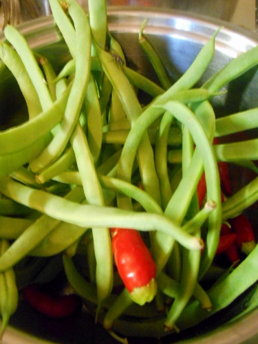 2013-01-01 2713 (375x500)