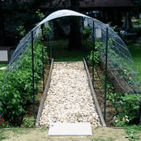 cattle panel trellus