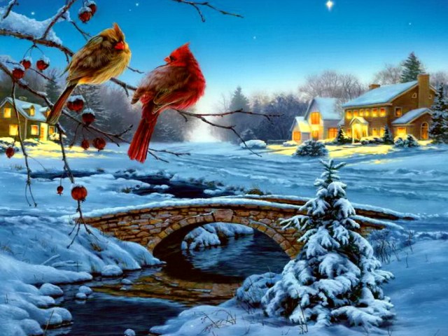 Winter-image-winter-36092400-1024-768