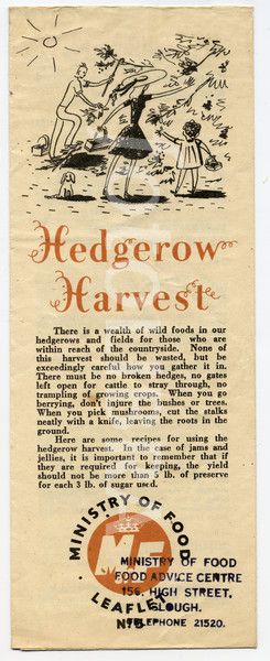 f7b1c9ab15ce05d74a5c886786a334cb