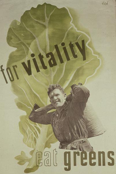 Imacon Color Scanner