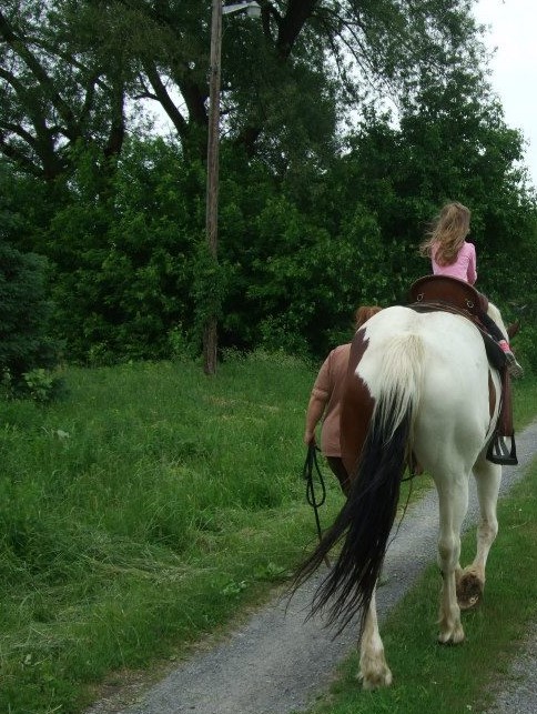 11390143_10206209019156960_8251775503633652551_n