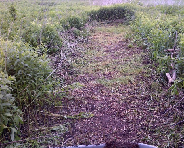 The Nation-20150602-00211