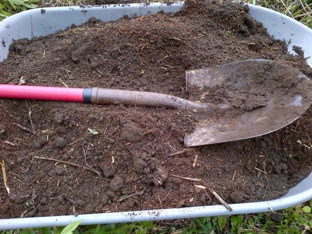 The Nation-20150602-00212