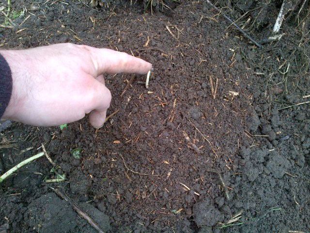 The Nation-20150602-00216