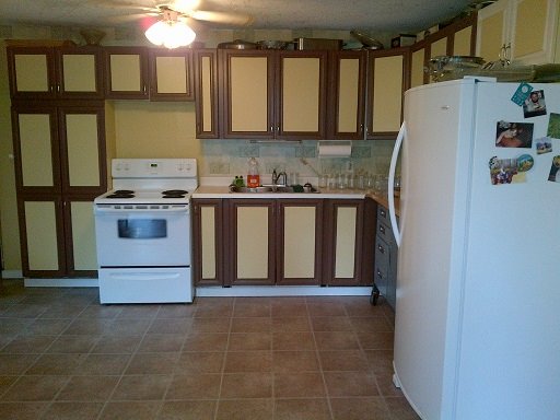 11948183_536597719820745_1104180126_n