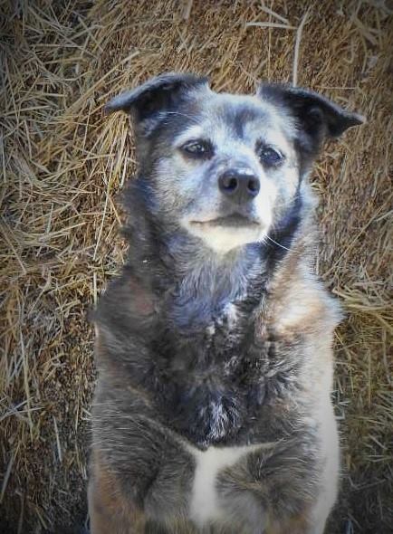 10425128_663352407124808_2035570446099062667_n