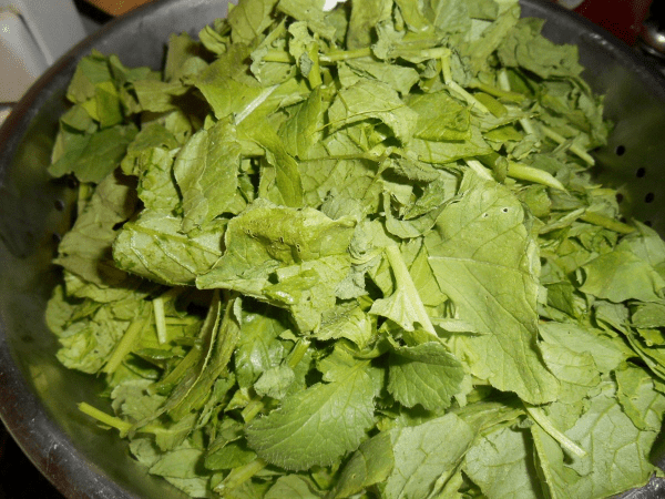 radish greens