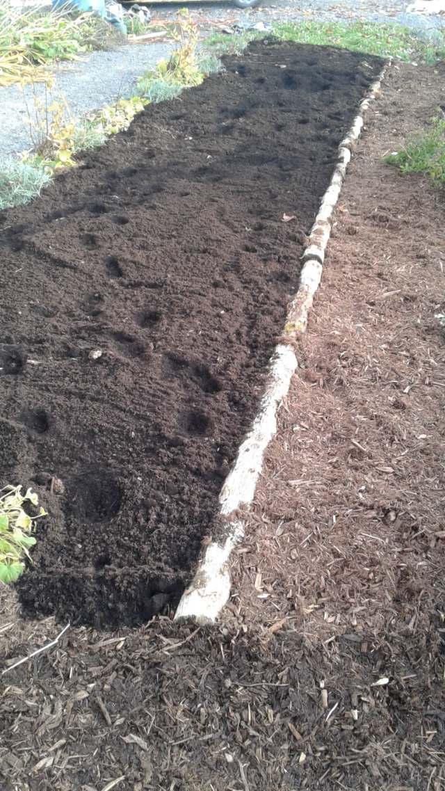 73052642_973408669674823_4985123481965297664_n