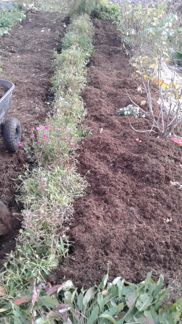 73201494_714894925688447_212770622554505216_n