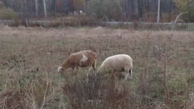 122331368_656785541701083_1895759599883326995_n