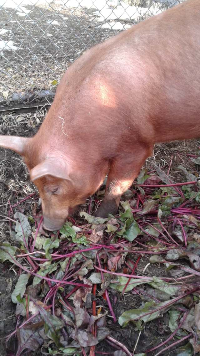 122499478_5124640464243275_6667115311906532953_n