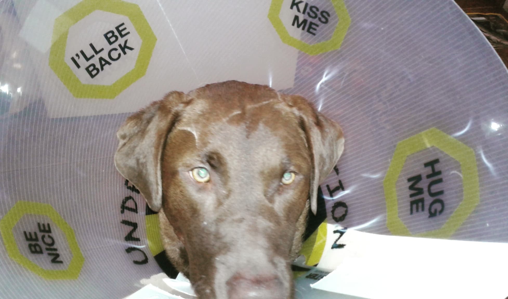 137334921_717812039165371_8797281413795465729_n