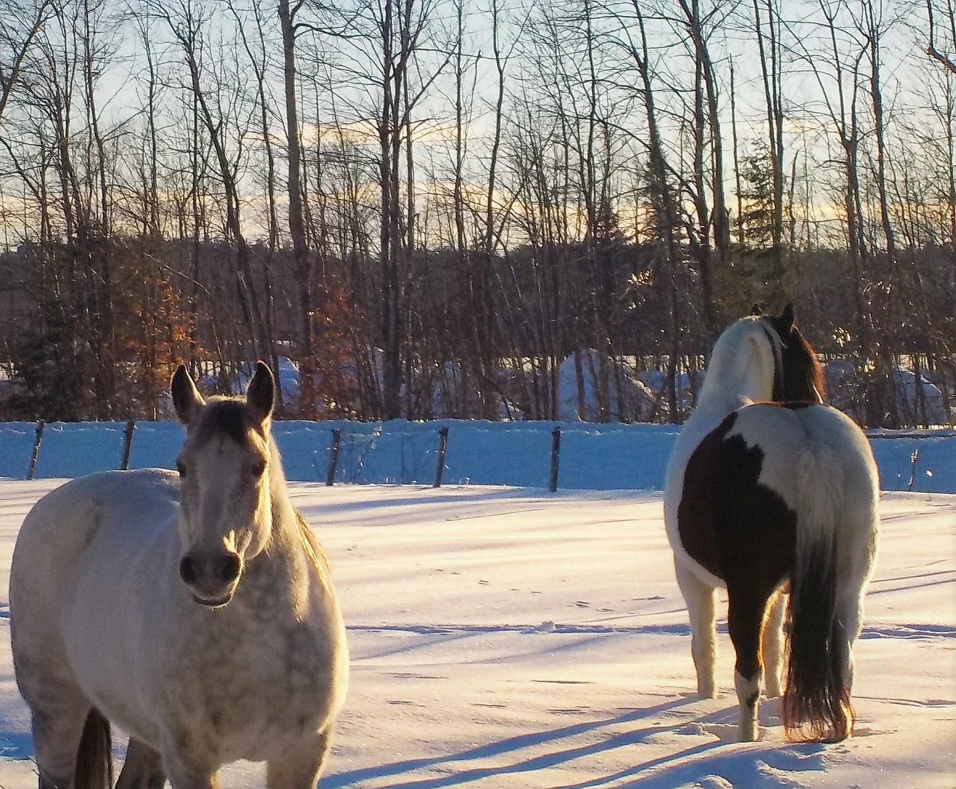 15896375_1069084696551575_5443041835510800579_o