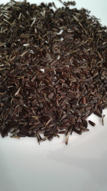 241705862_574765450613533_873441964278059029_n