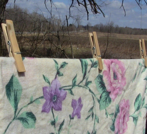 laundryonthelinedrying