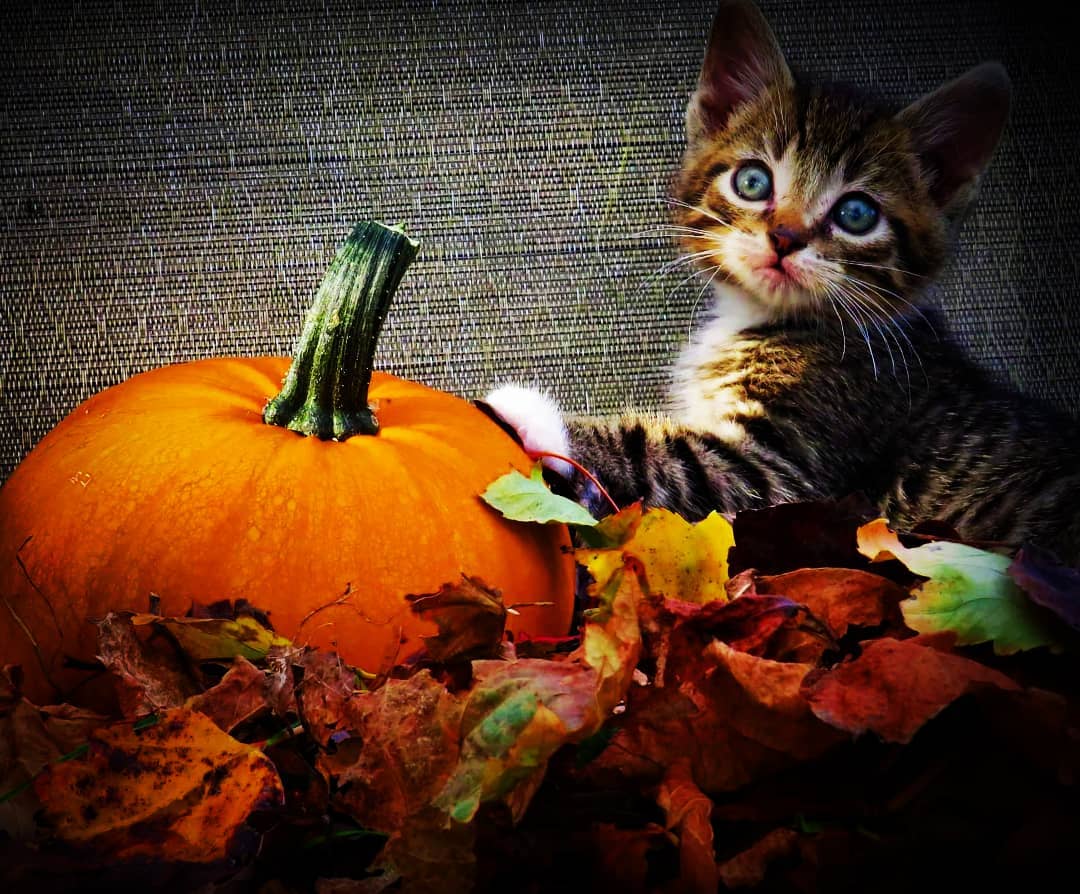 245618349_4152472791546068_4194295637456817815_n