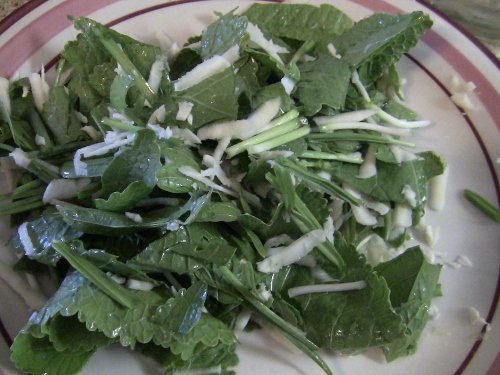 fresh horseradish greens with spring garlic