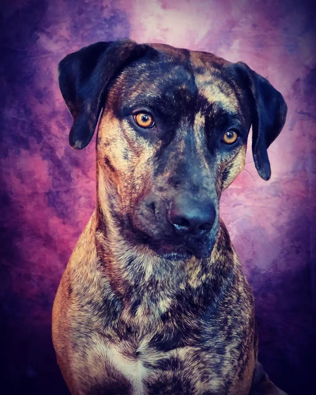 Remmibringonthestorm