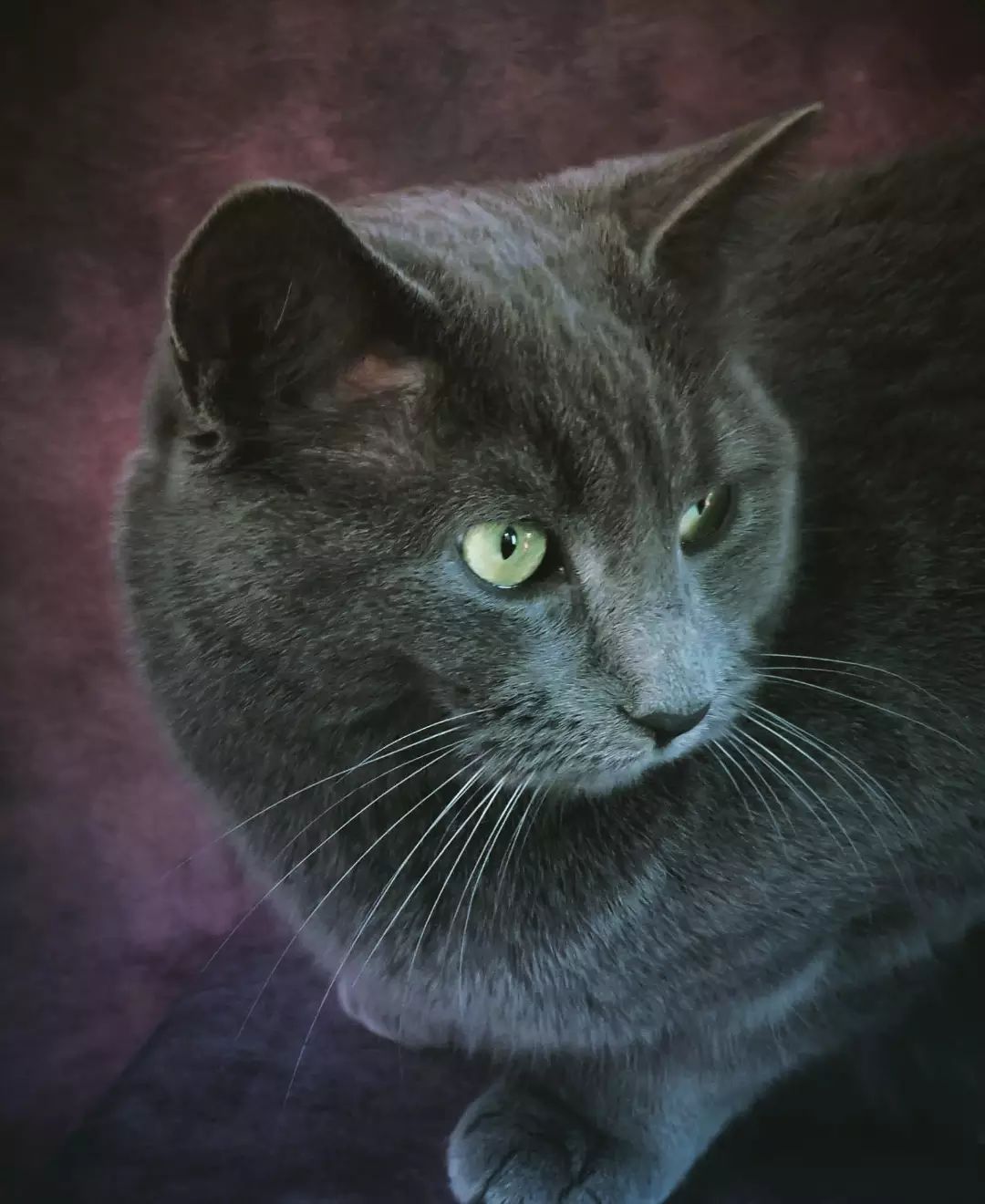 smudgesmokeonthewater