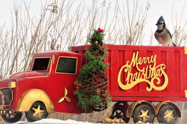 268610465_1523434611364948_6211193435688853452_n