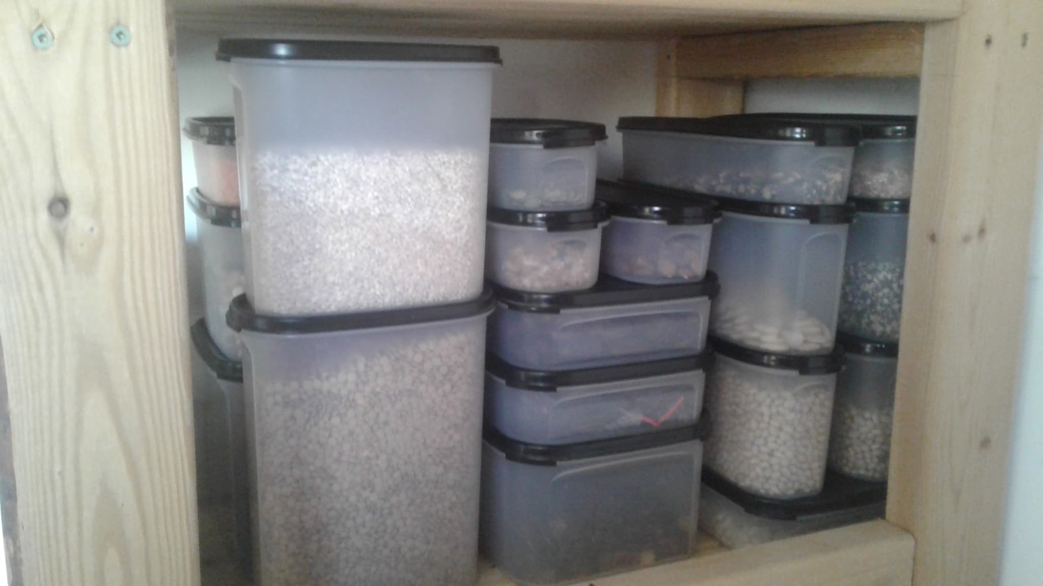 120552199_758487248329028_2948528982434866171_n