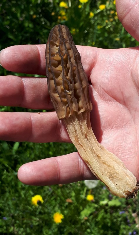 279933970_294607076216396_5014235981488113701_n