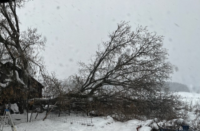 321611799_1095647155168437_6027695346375715402_n