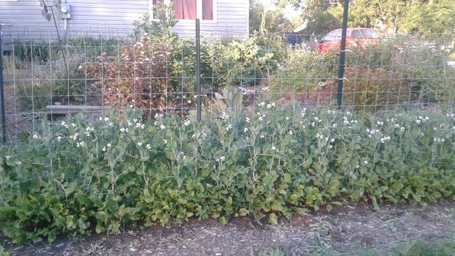 154522510_3480130688780285_8030016445963752735_n