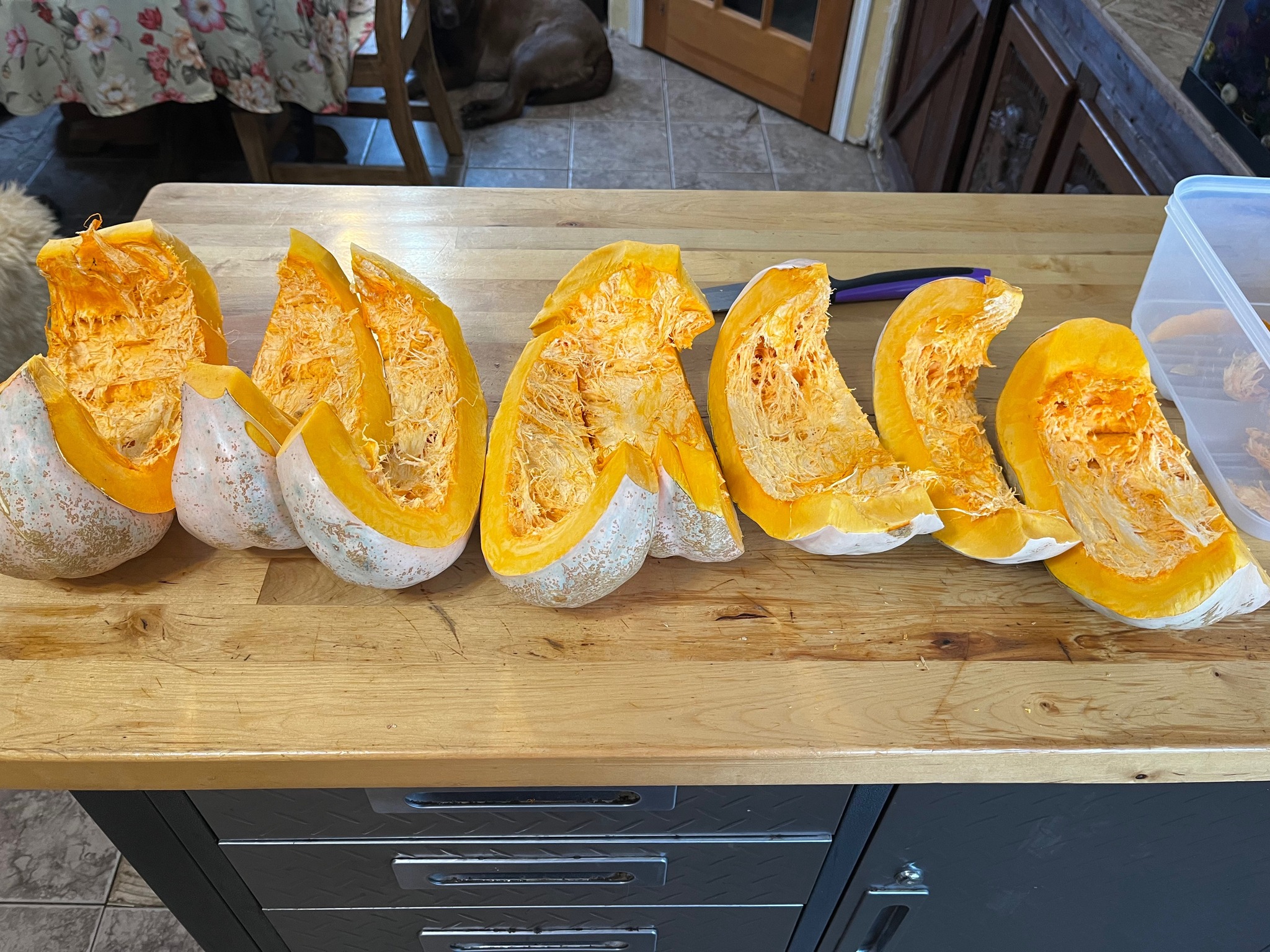 325438431_871664104024370_1520166529195764868_n