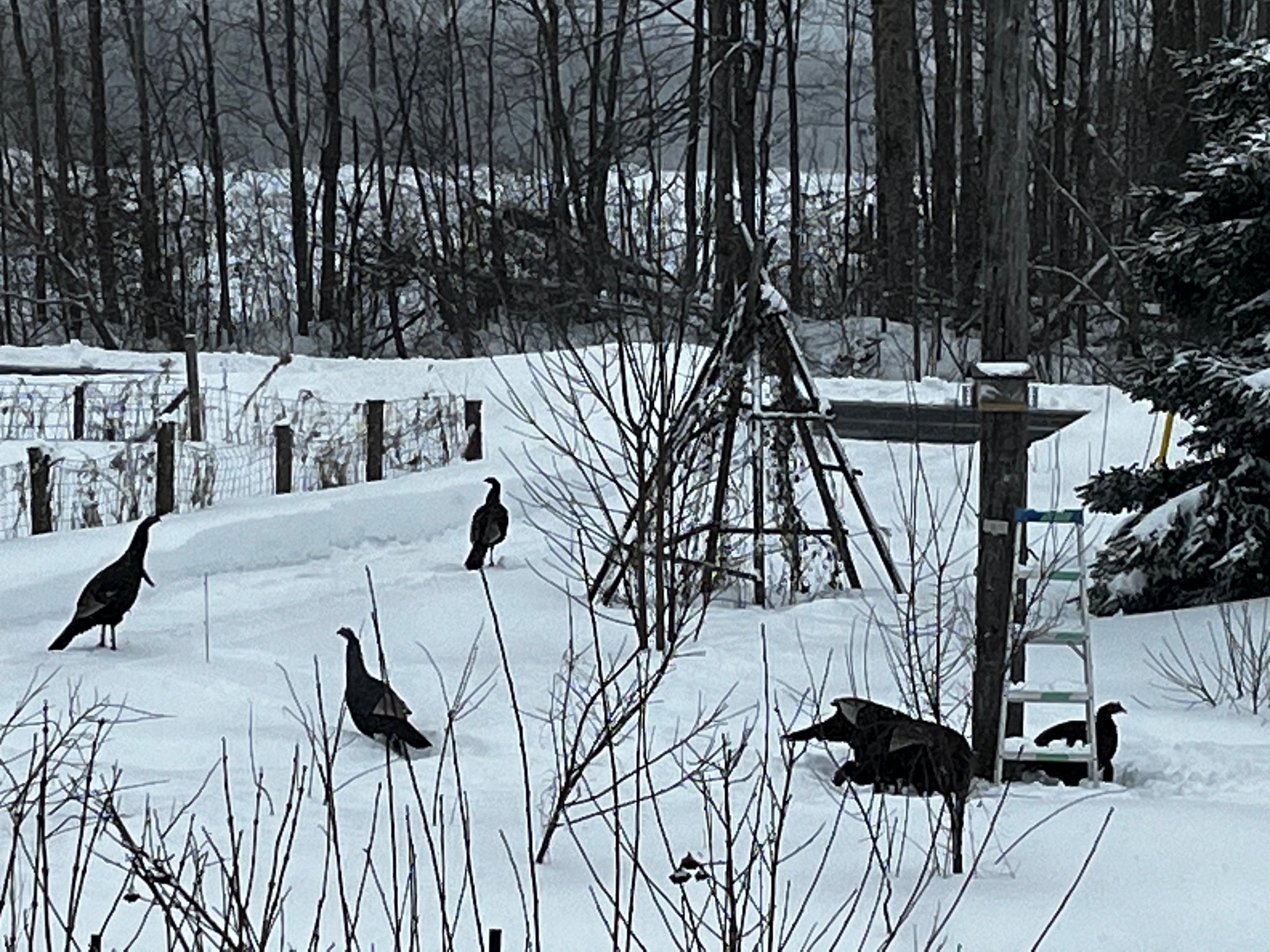 327589200_714727613362398_5010092606811362198_n