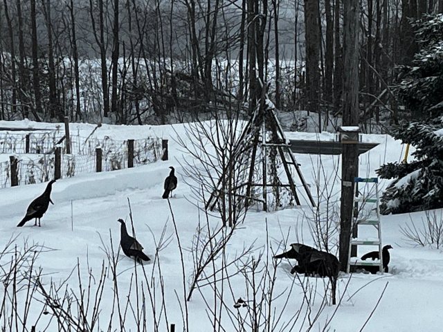 327589200_714727613362398_5010092606811362198_n