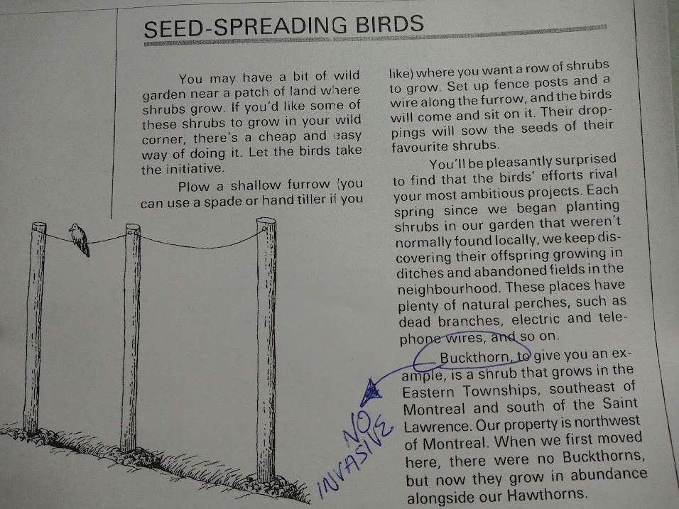 328125023_559031026273449_6890582844247747754_n