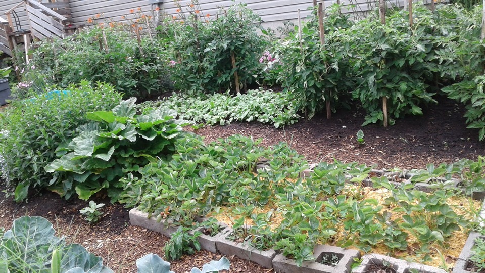 67617270_2146564892136878_6629908541140369408_n