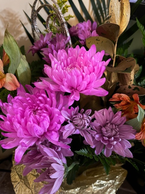 330854908_1403436330395806_8849942320294994507_n