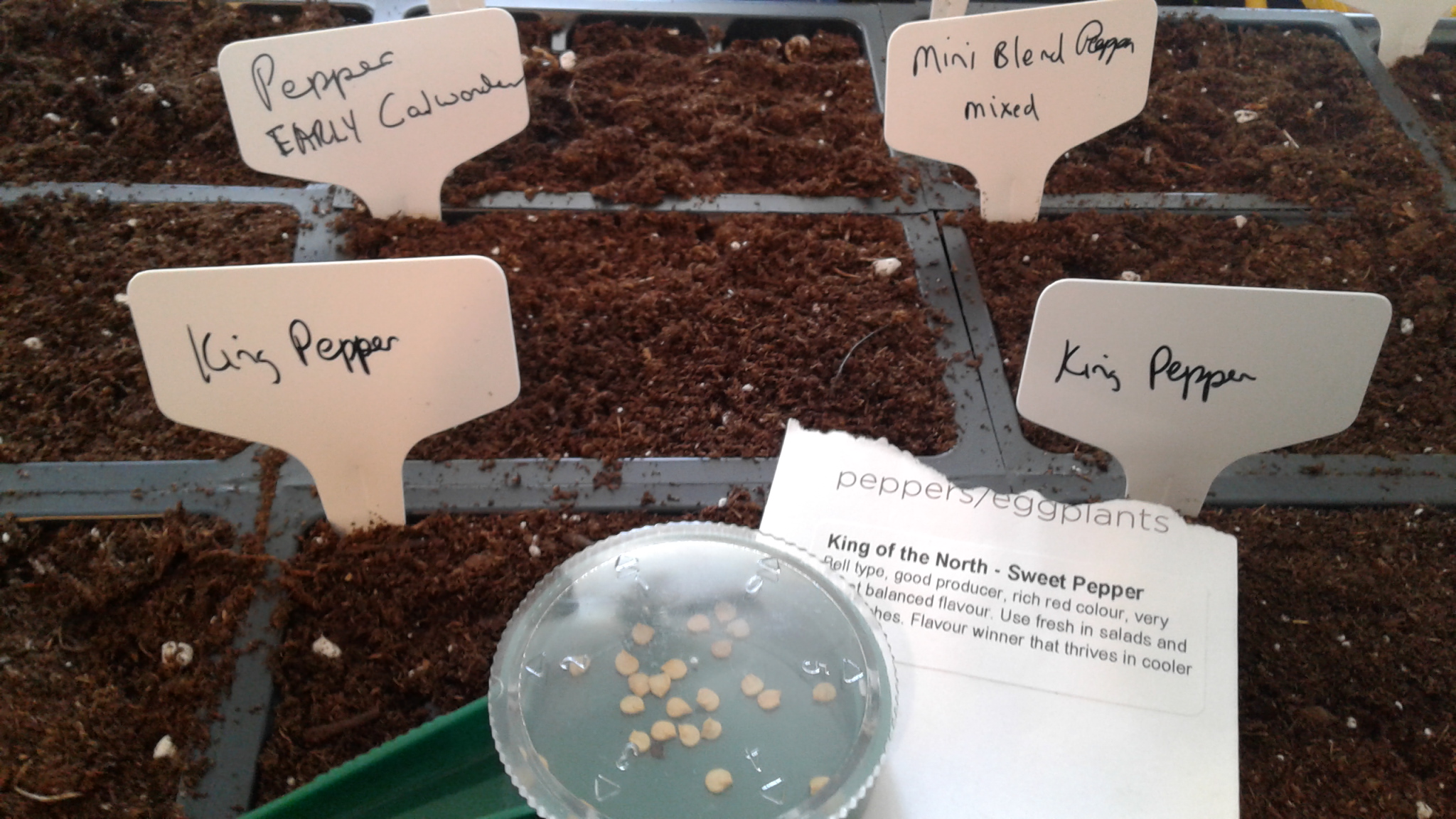 157317408_3501036900022997_3565915998689419546_o