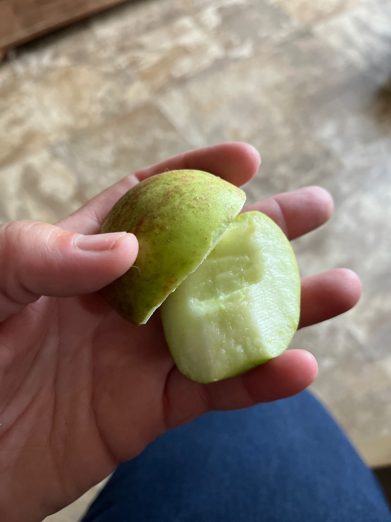 369962769_6199301476863179_2737781305723159486_n